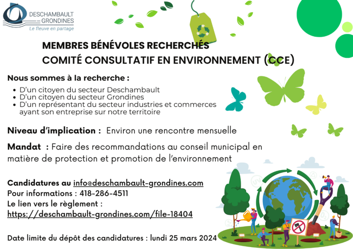 COMITÉ CONSULTATIF EN ENVIRONNEMENT