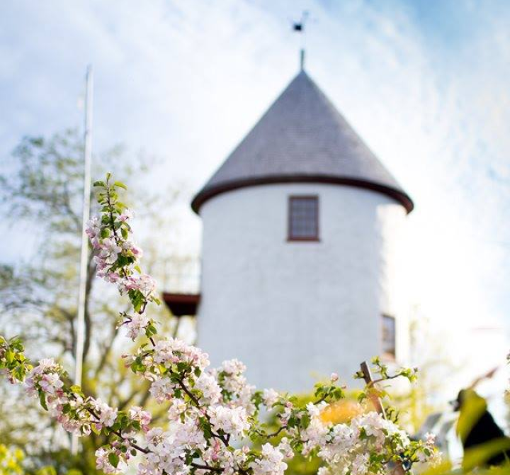 Course du Vieux Moulins!