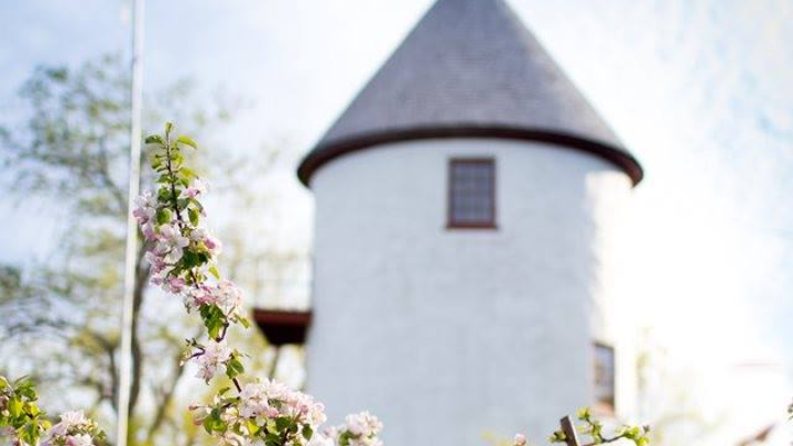 Course du Vieux Moulins!