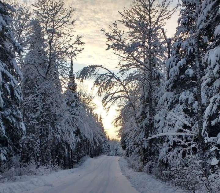 Entretien d'hiver des chemins - Fermeture de routes