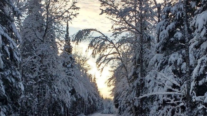 Entretien d'hiver des chemins - Fermeture de routes
