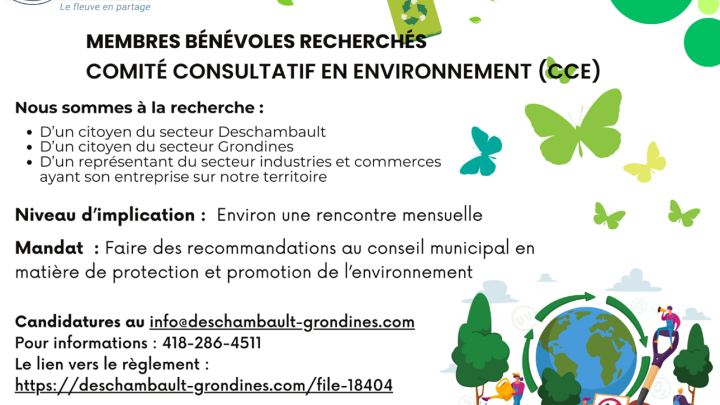 COMITÉ CONSULTATIF EN ENVIRONNEMENT