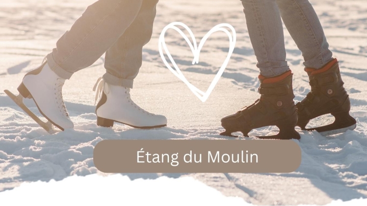 État des lieux de l'étang du Moulin