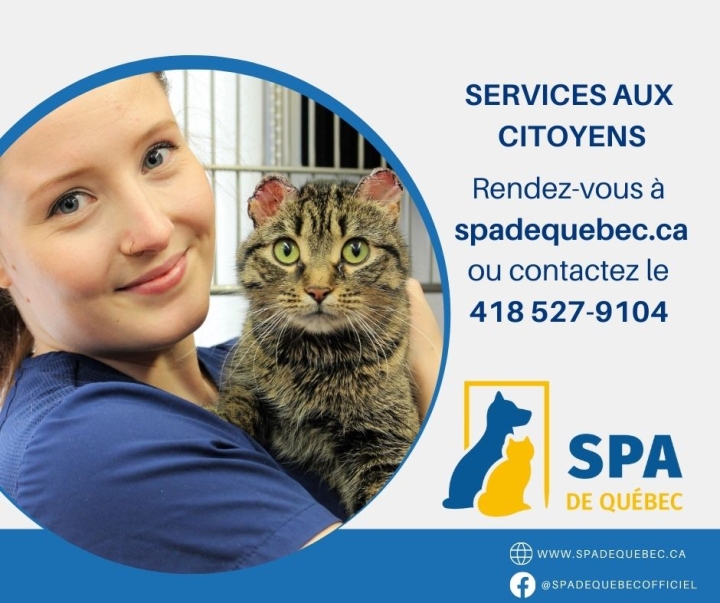 Pour prendre soin de ces êtres qui partagent nos vies...  Nouvelle entente avec la SPA!