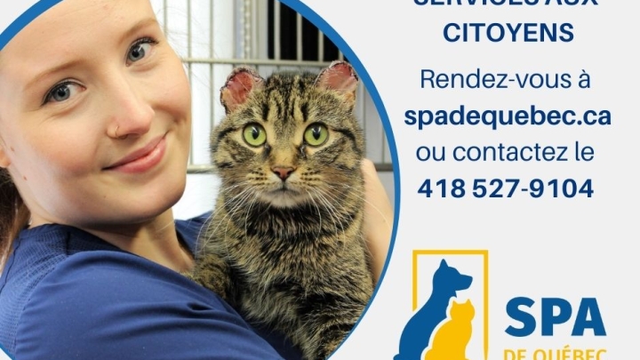 Pour prendre soin de ces êtres qui partagent nos vies...  Nouvelle entente avec la SPA!
