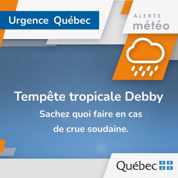 Précipitations à venir