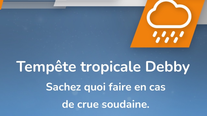 Précipitations à venir